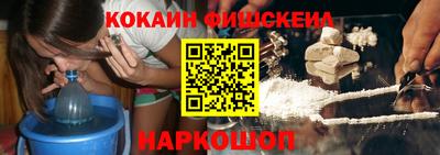 spice Брянск