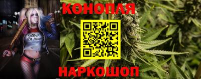 spice Брянск