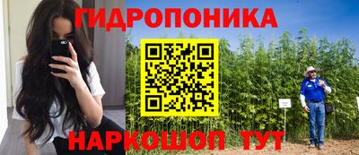 spice Брянск