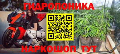 spice Брянск