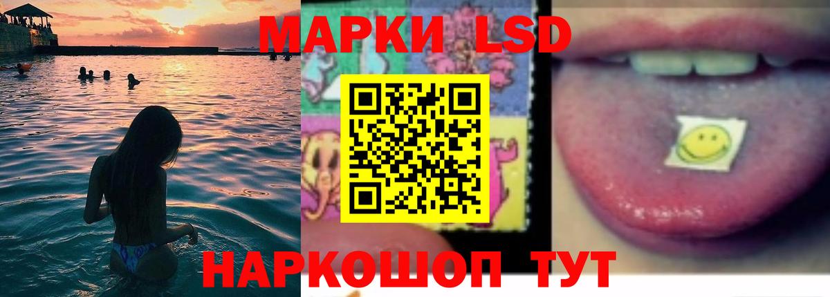 ЛСД экстази ecstasy Новый Уренгой