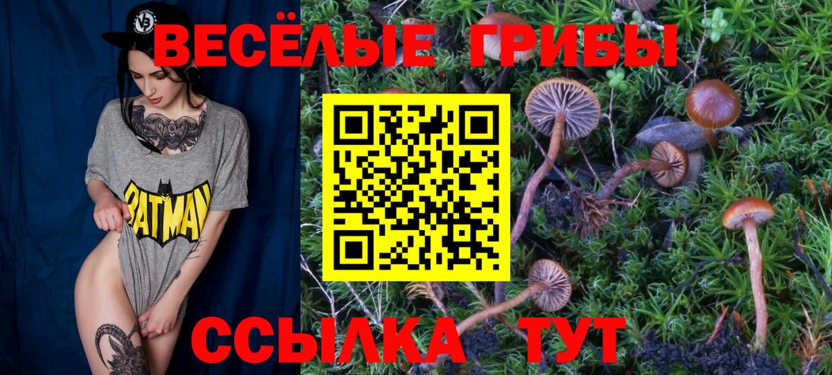 Псилоцибиновые грибы Cubensis Новый Уренгой