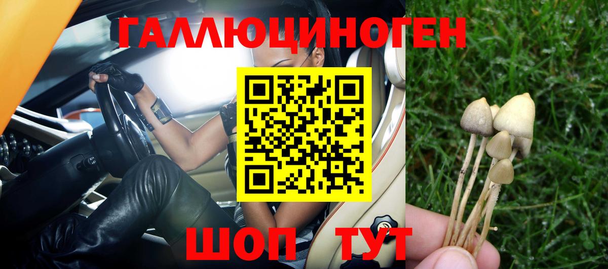Галлюциногенные грибы Cubensis  Галлюциногенные грибы Psilocybine cubensis  Новый Уренгой  Вход с VPN 